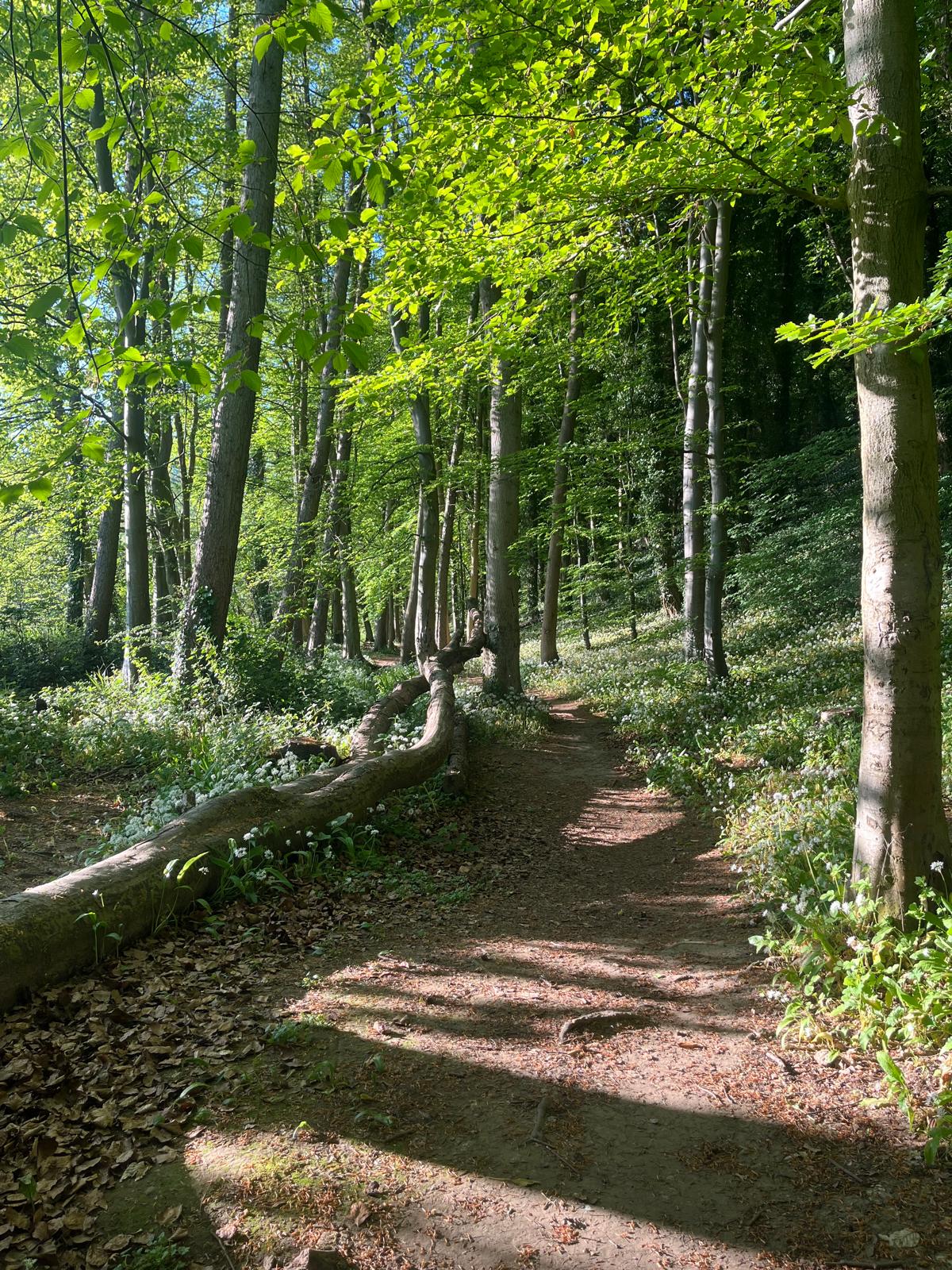 Forge Valley East Ayton Lodge